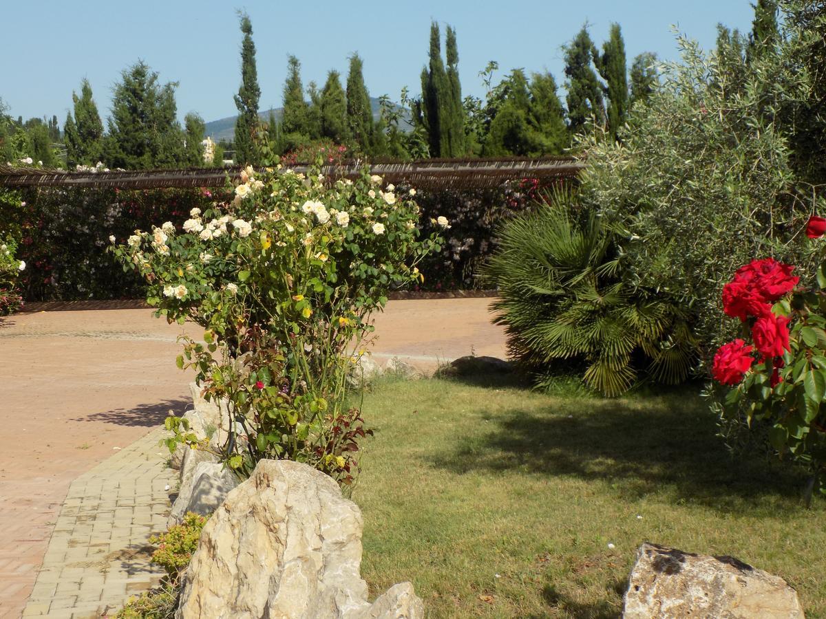 Villa Sorrentina Алгеро Екстериор снимка